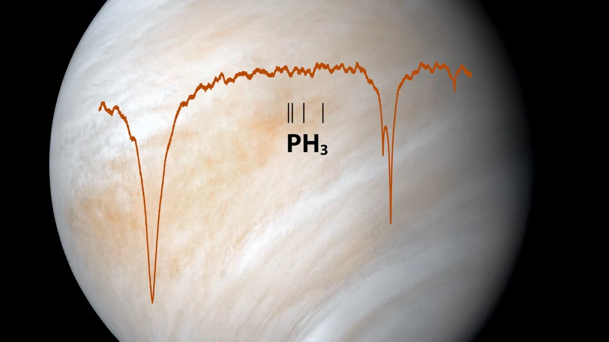 Na Wenus istnieje życie? NASA nie ma wątpliwości