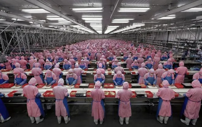 Foxconn wypuści własną linię smartfonów