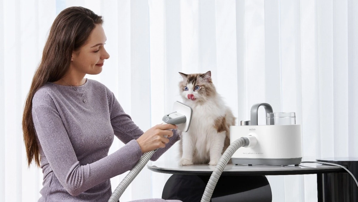 Ten producent nie czekał na Black Friday. Gadżety dla zwierząt i inne taniej do 57 procent