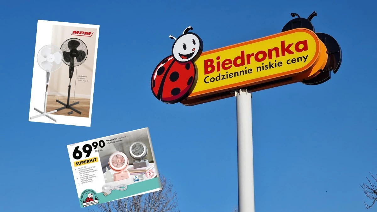 Gorąco Ci? Tania elektronika z Biedronki to metoda na upały