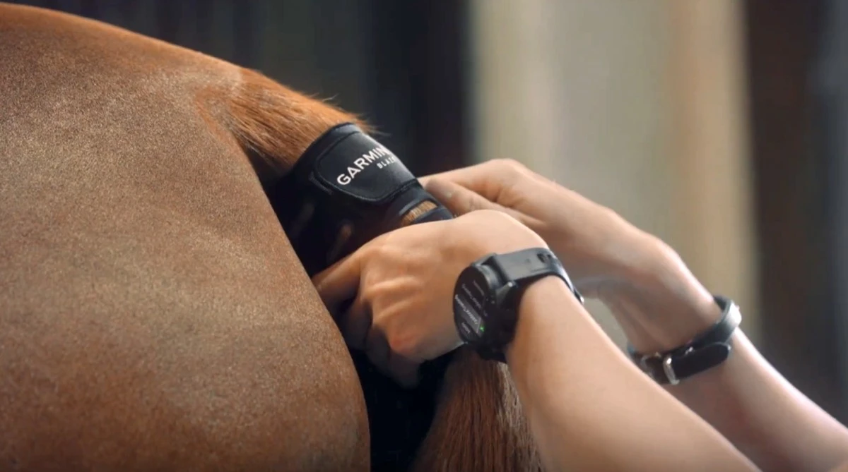 Garmin Blaze to nowy gadżet dla koniar. Nie działa z hobby horse