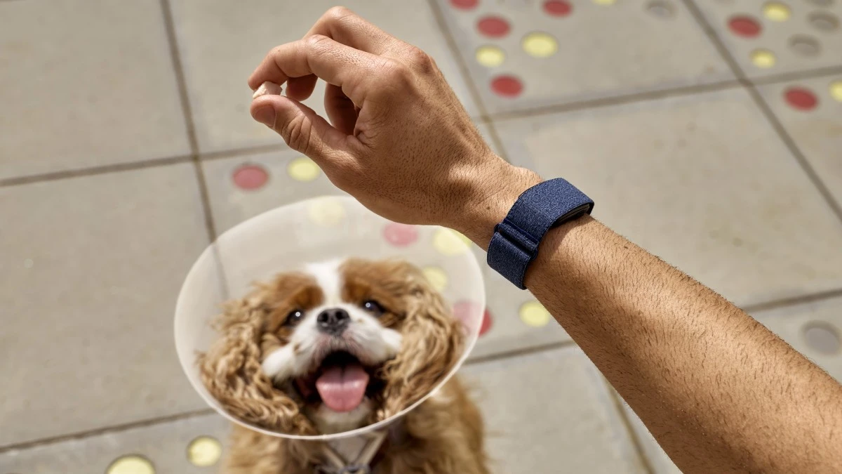 Garmin CIRQA kosztuje 859 zł i nie ma ekranu. Część funkcji wymaga abonamentu