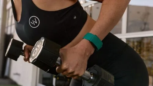 Garmin