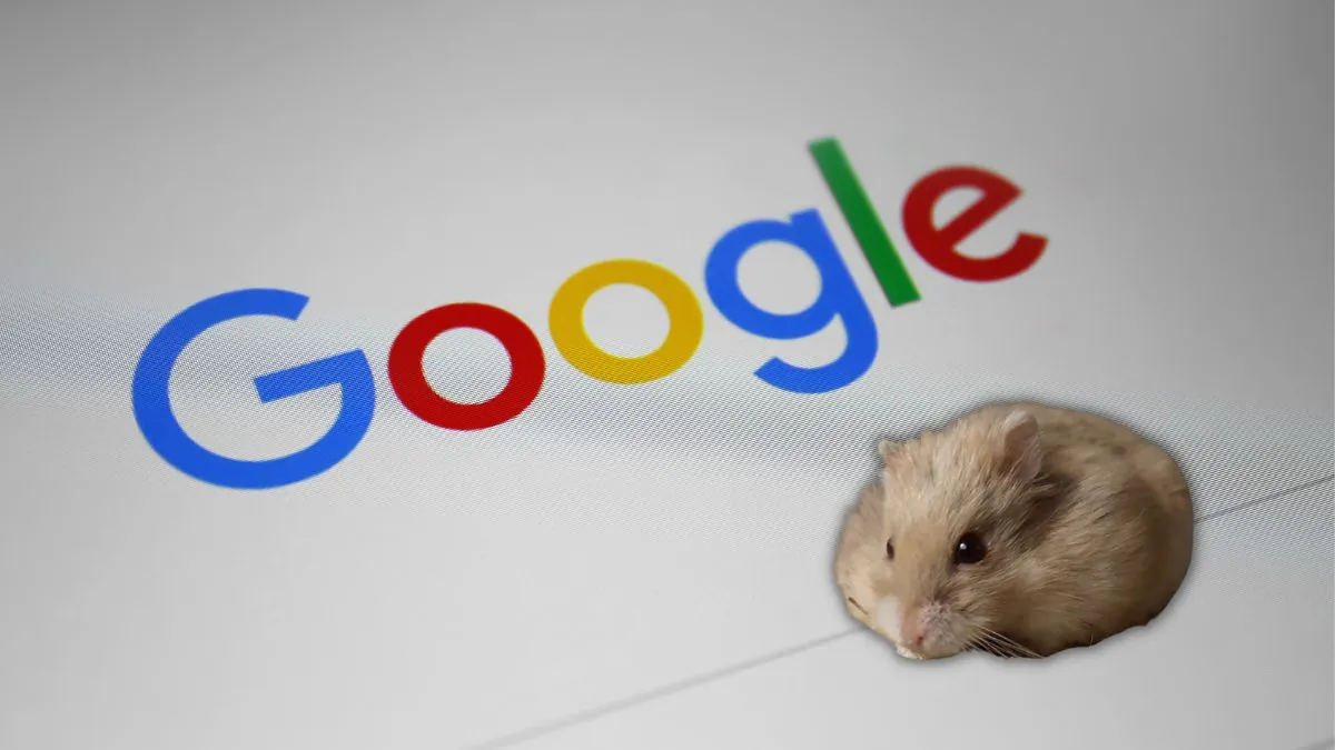 Google usunęło 6 miliardów linków do pirackich treści. Chomikuj.pl w czołówce