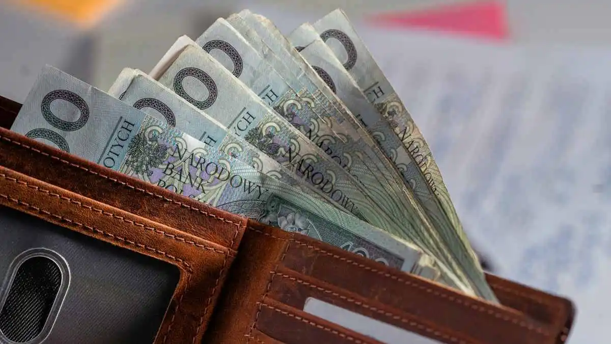 „Zachowaj spokój i noś przy sobie gotówkę”. Europejski Bank Centralny ostrzega
