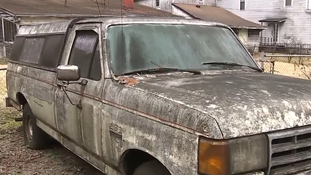 W USA ludzi terroryzuje czarny grzyb, która żywi się whiskey