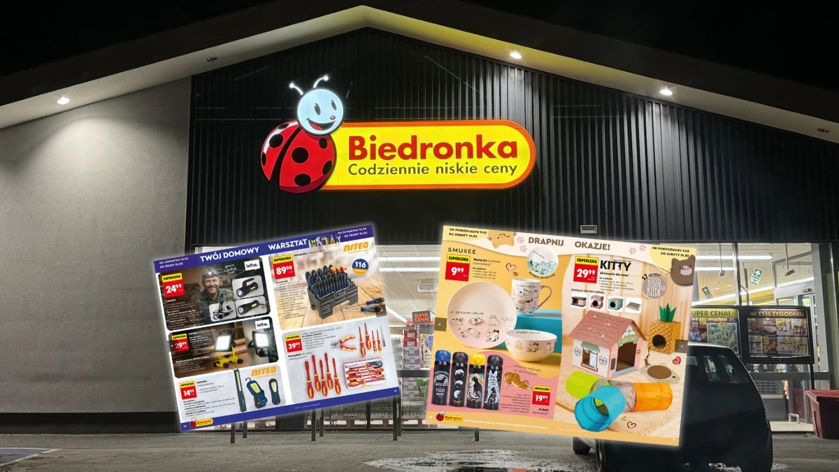 Hity z nowej gazetki Biedronki. Gadżety dla miłośników kotów i nie tylko