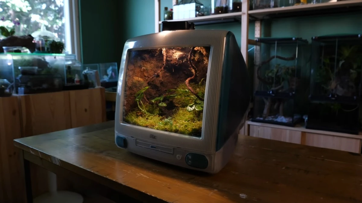 iMac przerobiony na terrarium. Powstał niezwykły ekosystem