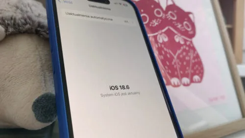 iOS 18.6