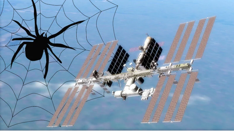 Na stacji kosmicznej nie ma pająków, ale astronauci z arachnofobią przeżywają katusze