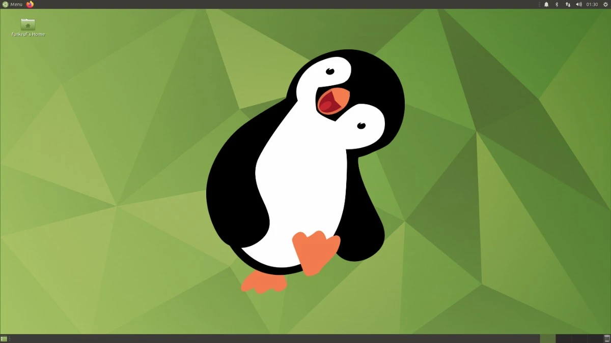 Mam problem. Jaki Linux dla starego komputera w 2024?