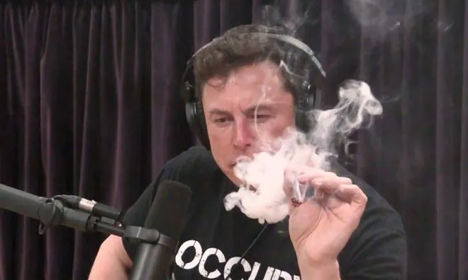 Elon Musk straci rządowy kontrakt? Wszystko przez marihuanę