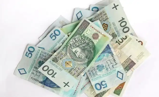 Polak oszukiwał w internecie. Wyłudził 500 tys. zł