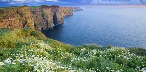 7 wiosennych kompozycji, które rozweselą twój pulpit