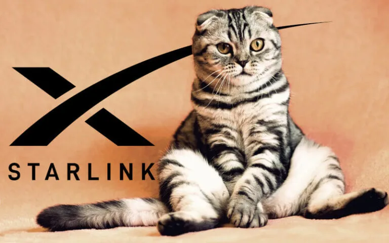 Koty uwielbiają Starlink. Anteny systemu Elona Muska idealnymi legowiskami