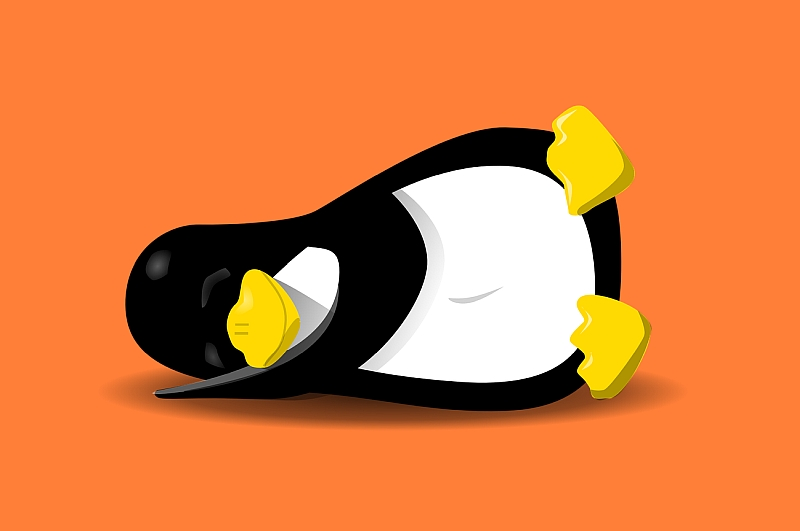 Korea Południowa stawia na Linuksa