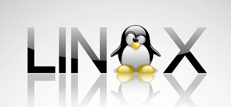 CD Projekt zrewolucjonizuje granie na Linuksie