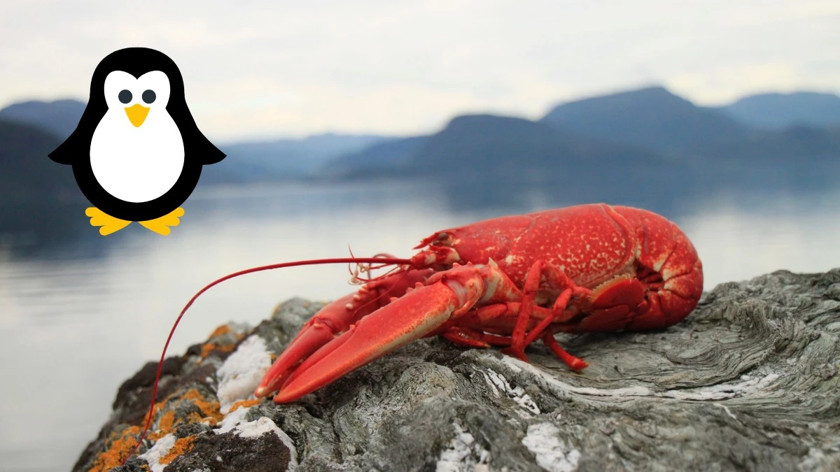 Linux Ubuntu niebawem bez Flatpaków