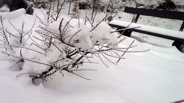 Lumia 820 przykładowe zdjęcie