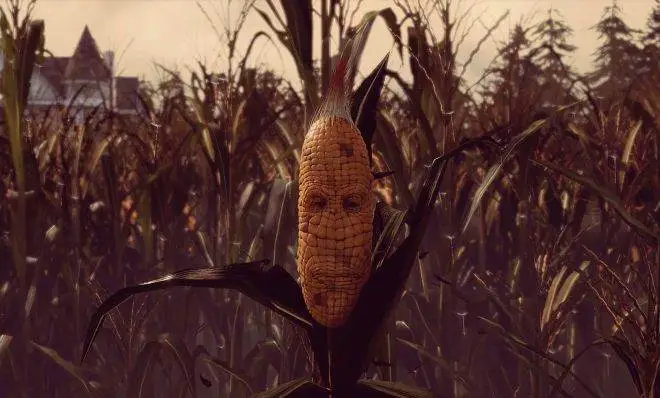 Maize to gra o… czującej kukurydzy. Serio