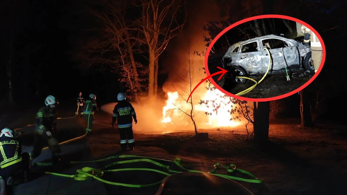 Polscy strażacy 21 godzin gasili elektrycznego Mercedesa