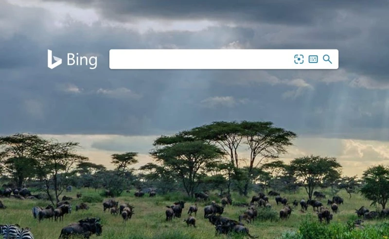 Korzystasz z Chrome i Office 365? Microsoft zmieni ci domyślną wyszukiwarkę