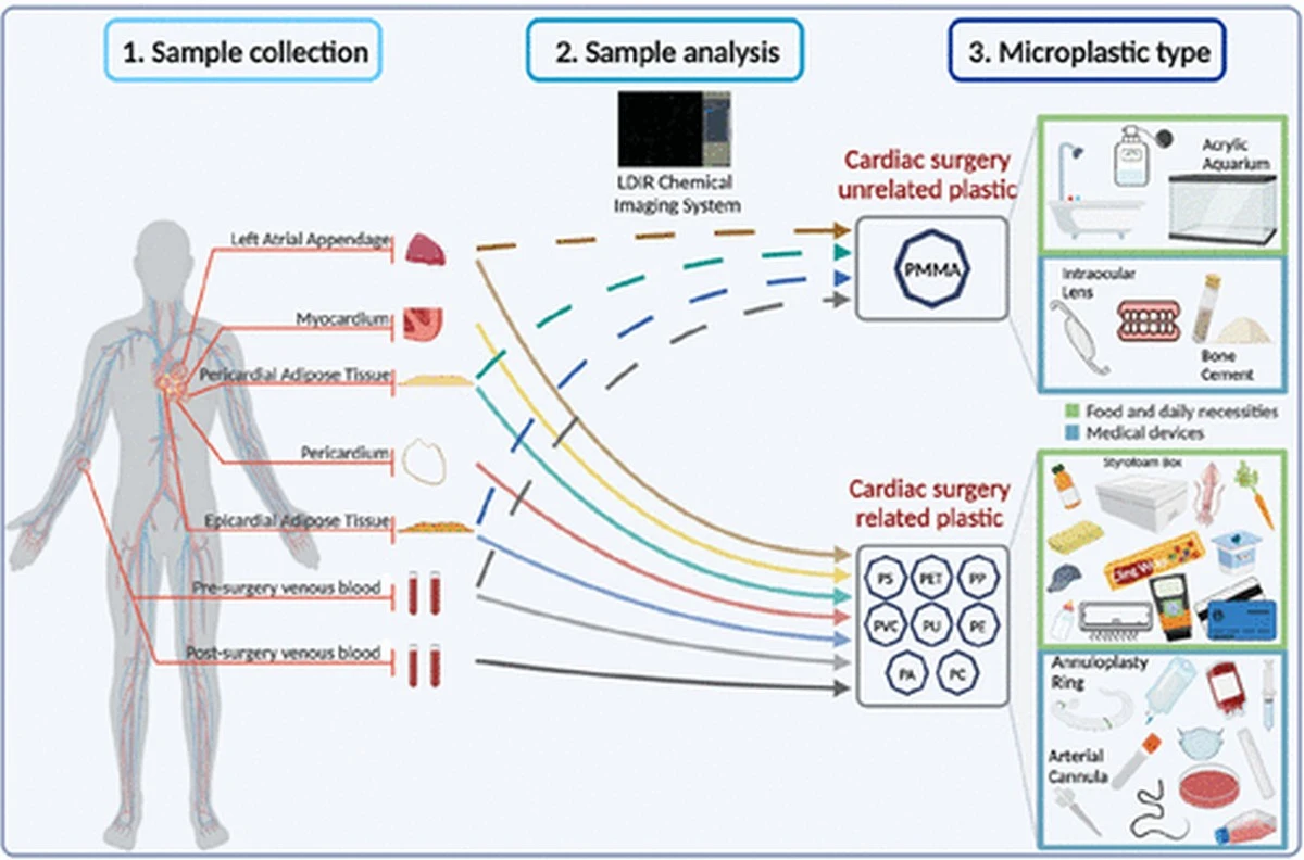 Mikroplastik jest już wszędzie. Także w ludzkim sercu