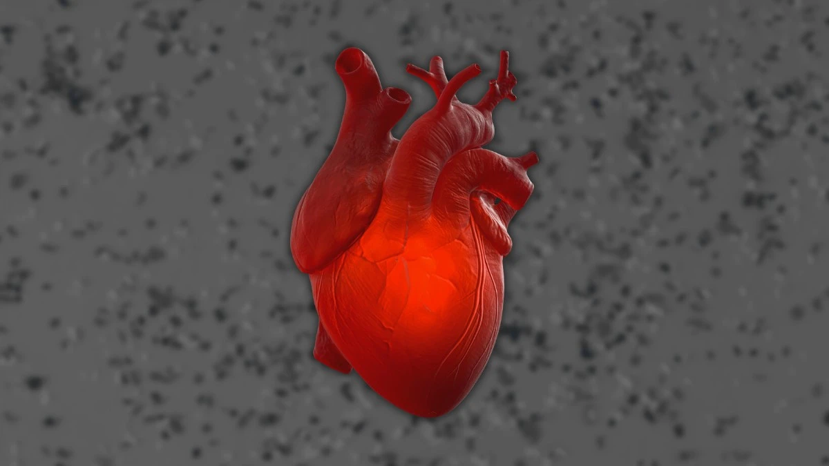 Mikroplastik jest już wszędzie. Nawet w ludzkim sercu