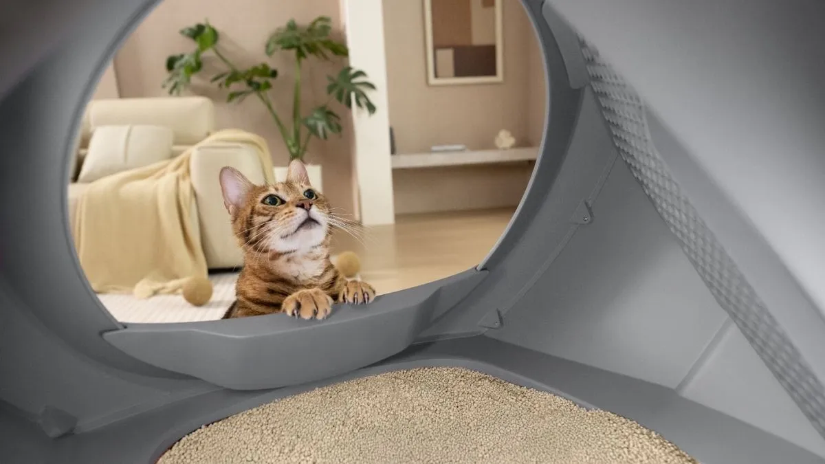Twojemu kotu się spodoba, Tobie jeszcze bardziej. Oto MOVA – smart kuweta, która monitoruje wagę kota i częstotliwość jego wizyt
