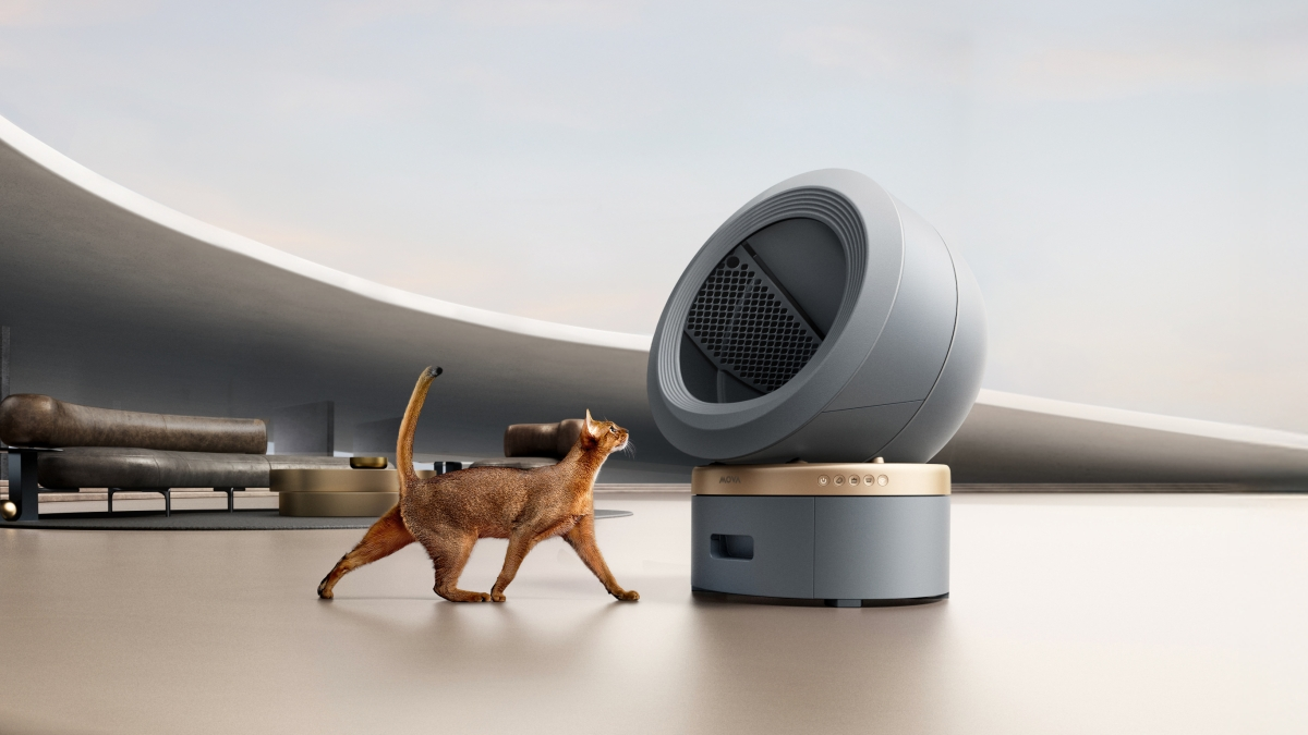 Inteligentna kuweta i inne gadżety dla zwierząt, z rabatami. MOVA rozpieszcza na święta