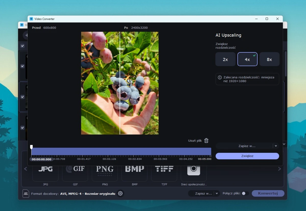 Movavi Video Converter