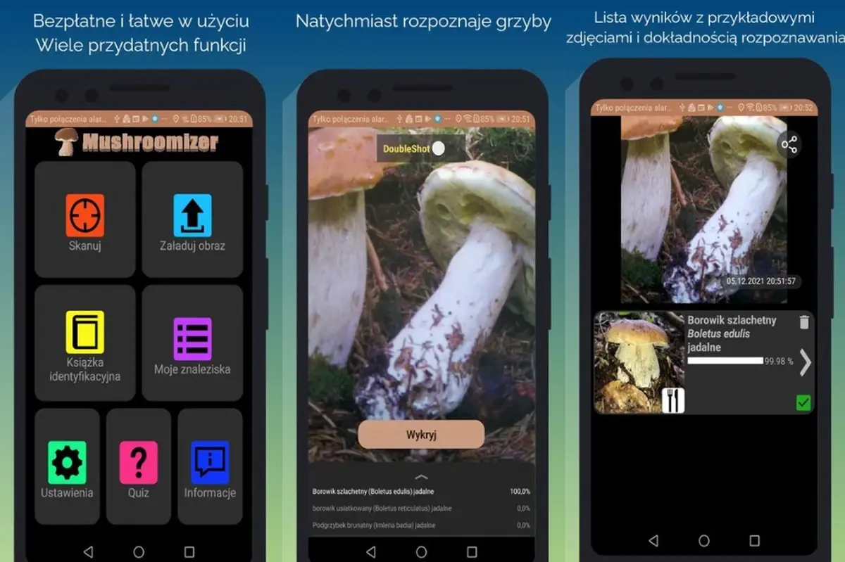 Aplikacja Mushroomizer