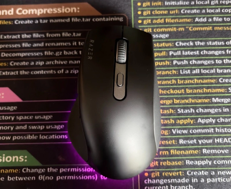 Razer Pro Click V2