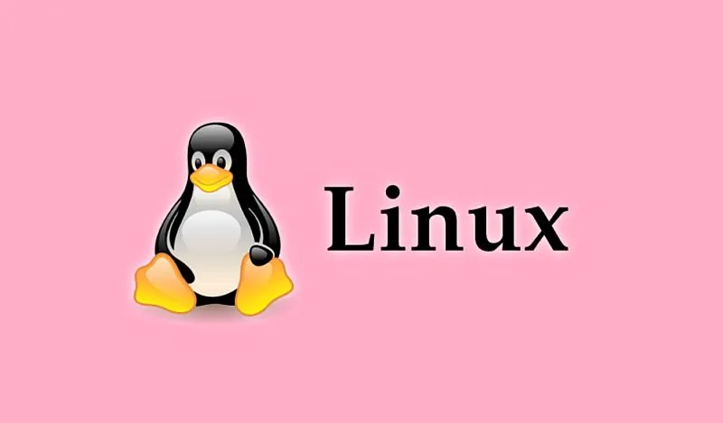 Który Linux jest najładniejszy w 2019 roku? Wybierzcie z nami najładniejszą dystrybucję!