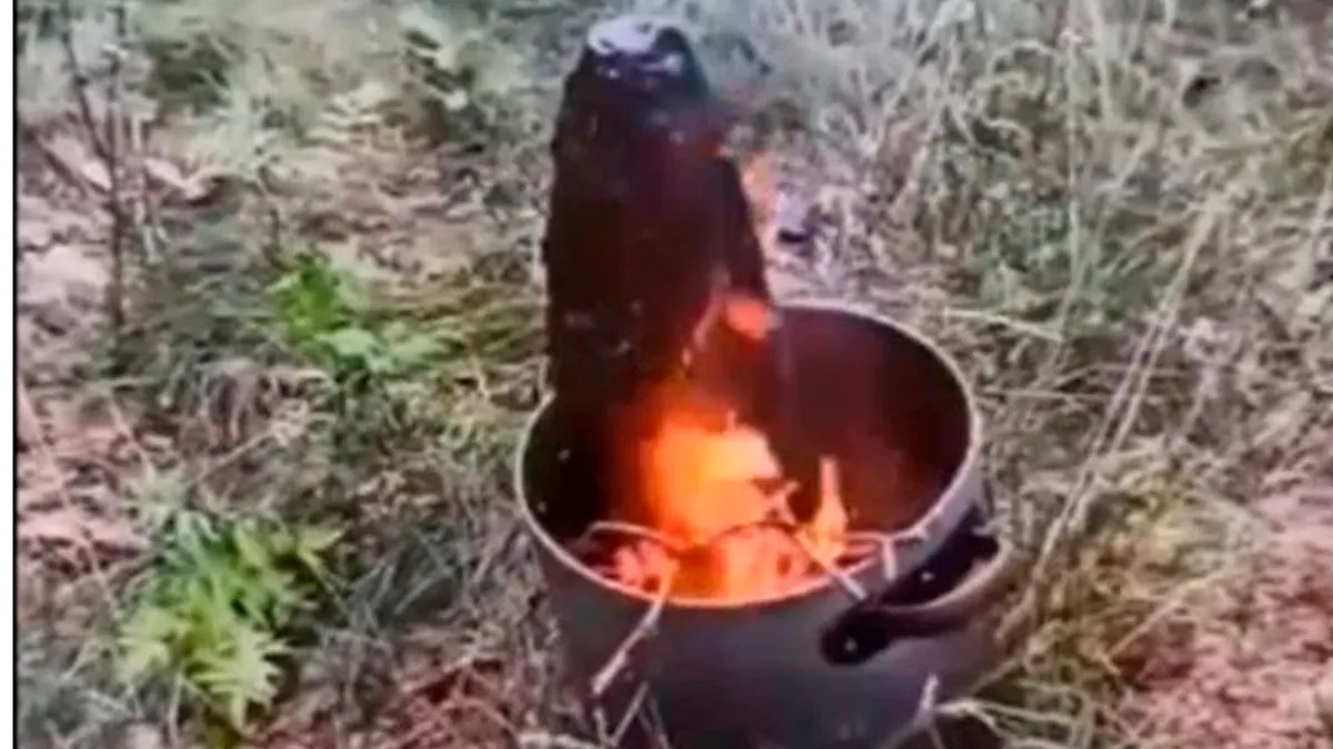 Polacy postanowili ugotować niewybuch w garnku. Eksplozję nagrali