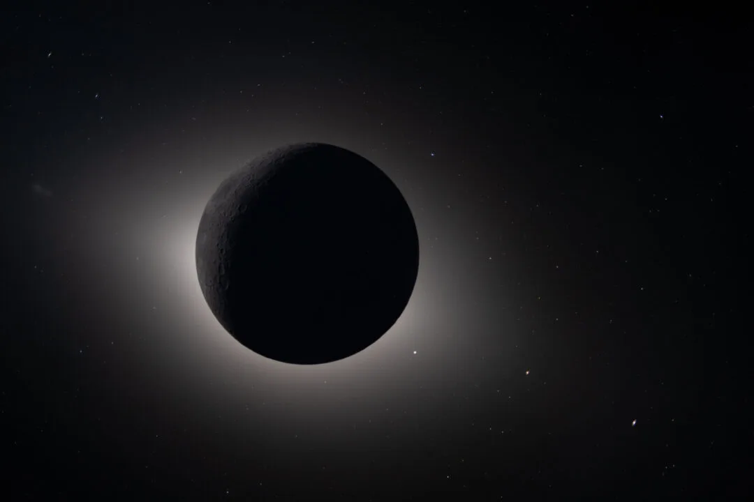 Nasa zdjęcie nikon z9