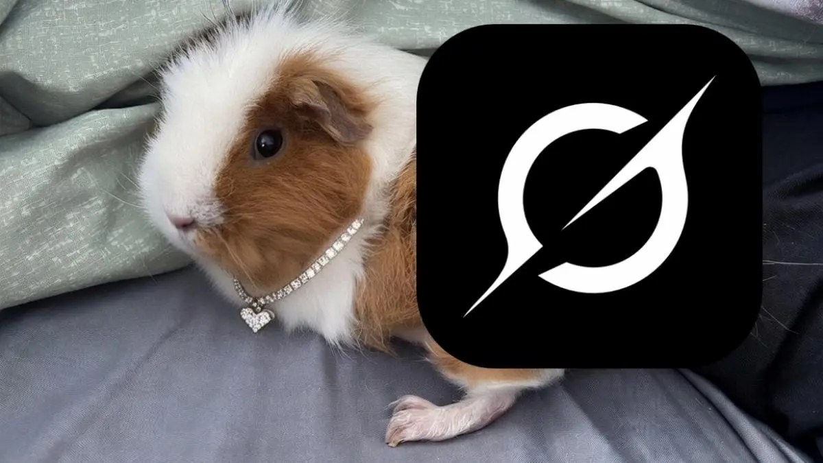 Afera na portalu X: Grok rozbiera kobiety, rakiety i świnki morskie