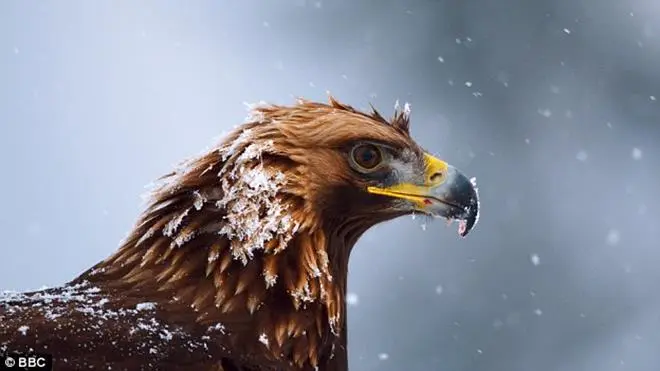 Snapchat pokaże film dokumentalny w odcinkach!