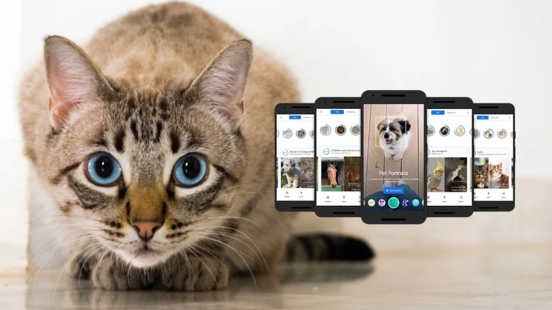 Ta apka znajdzie sobowtóra twojego zwierzaka na dziełach sztuki