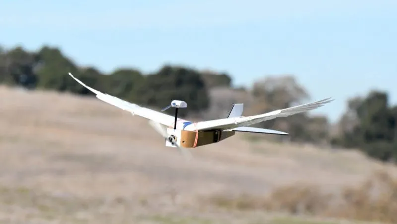 Żaden dron nie lata z taką gracją jak ten wzorowany na gołębiach