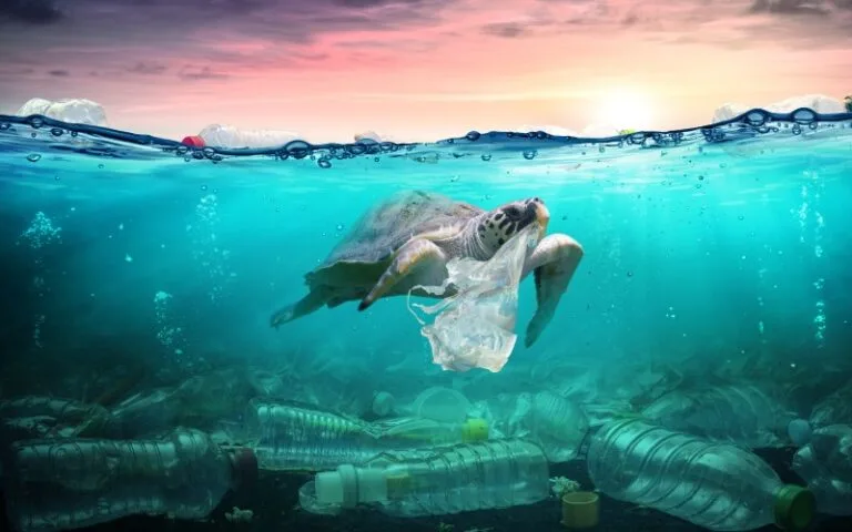 Sztuczna inteligencja z Barcelony wykrywa oceaniczne śmieci z powietrza