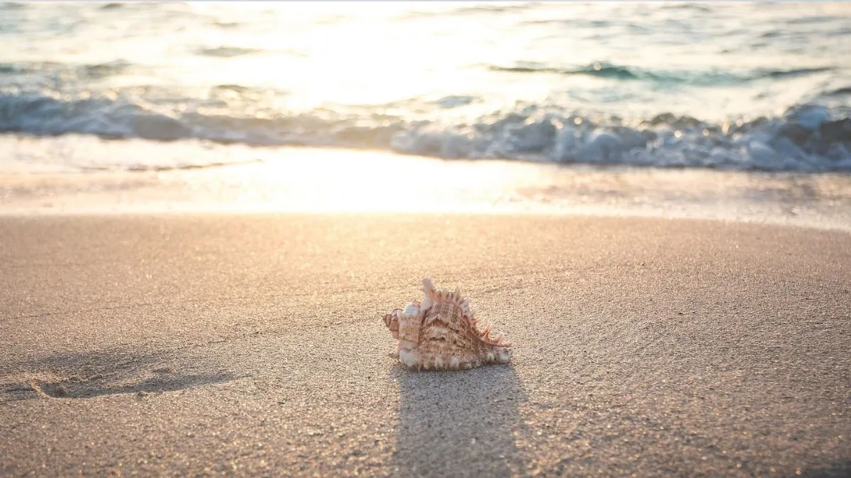 Więcej gigabajtów i niższe ceny na wakacje – letnia promocja na abonament komórkowy