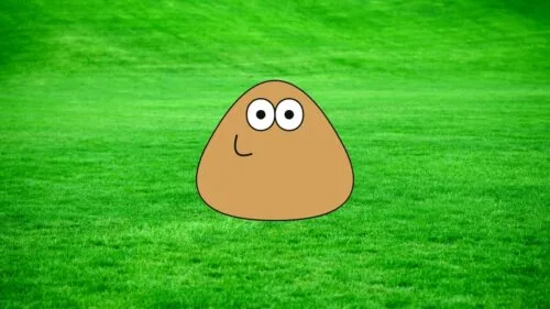 Pou