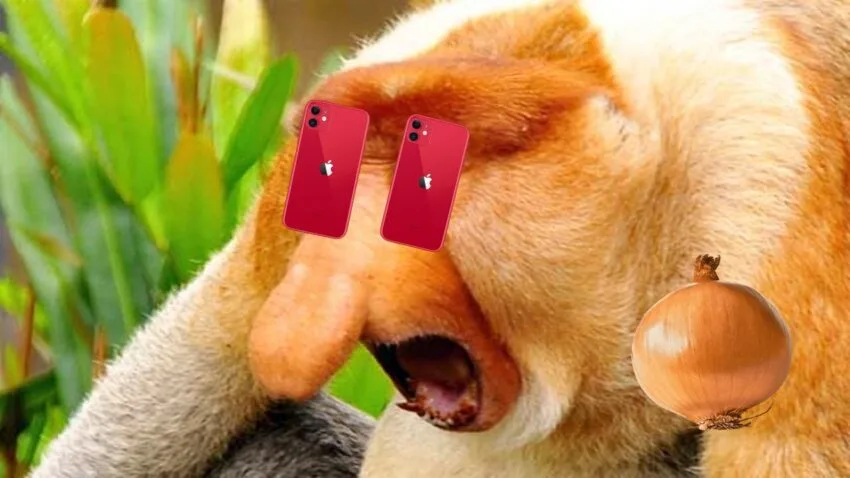 Polacy udają Ukraińców. Zapragnęli smartfonów za złotówkę