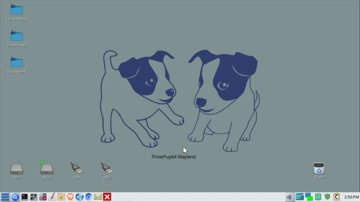 Na dzień kundelka Puppy Linux 5.3 „Slacko” – oparty o Slackware 13.37