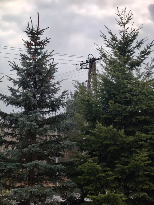 Realme 12 Pro+ 5G - teleobiektyw (zoom optyczny 3x)