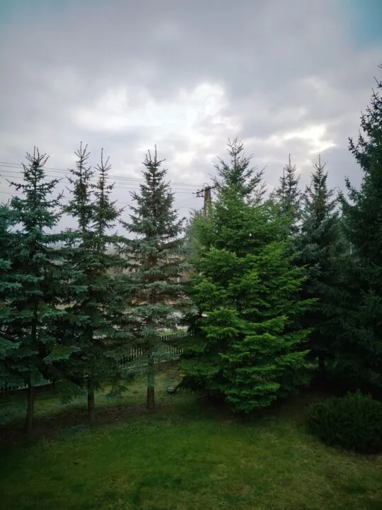 Realme 15 Pro 5G - sensor główny