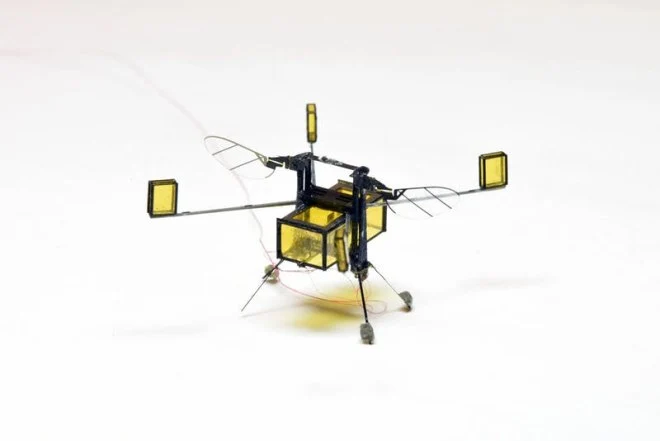 Ten robot wielkości owada potrafi nie tylko latać, ale i pływać (wideo)