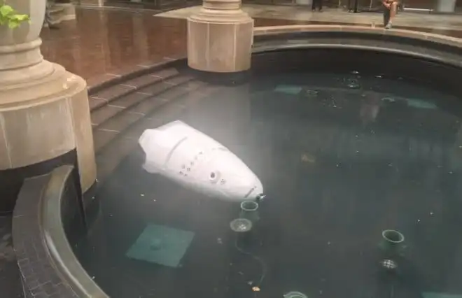 Robot ochronny chciał popełnić „samobójstwo”. Rzucił się do basenu