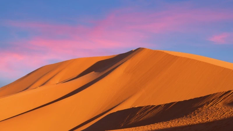 Zdumiewające odkrycie na Saharze. Jego dni mogą być policzone